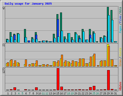 Daily usage for January 2025