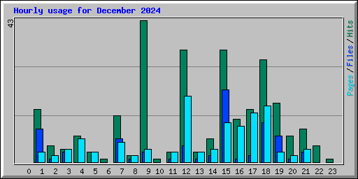 Hourly usage for December 2024