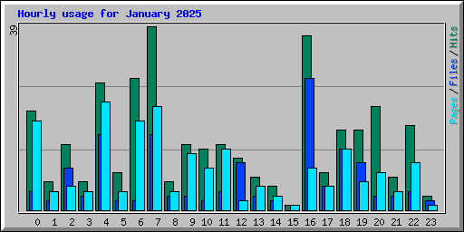 Hourly usage for January 2025
