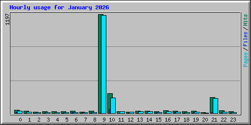 Hourly usage for January 2026