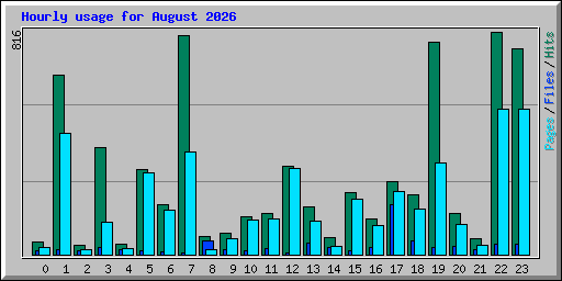 Hourly usage for August 2026